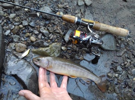 渓流ミノーイング 長良川水系